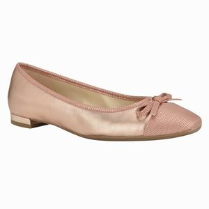 Nine West Olly 9x9 Ballerina Schoenen Bruin Nederland | BJH-985071